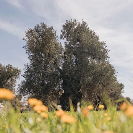 Masseria San Lorenzo Resort Fasano Eksteriør bilde