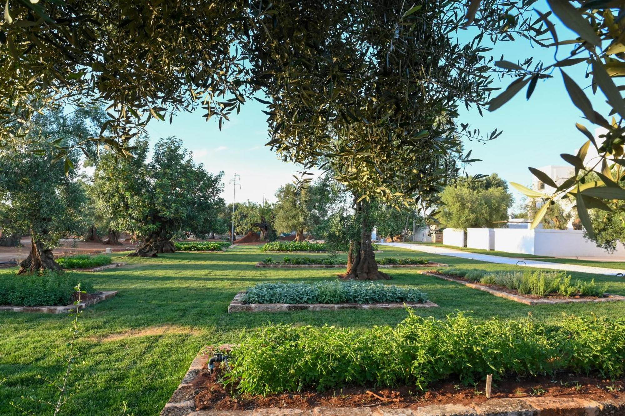 Masseria San Lorenzo Resort Fasano Eksteriør bilde